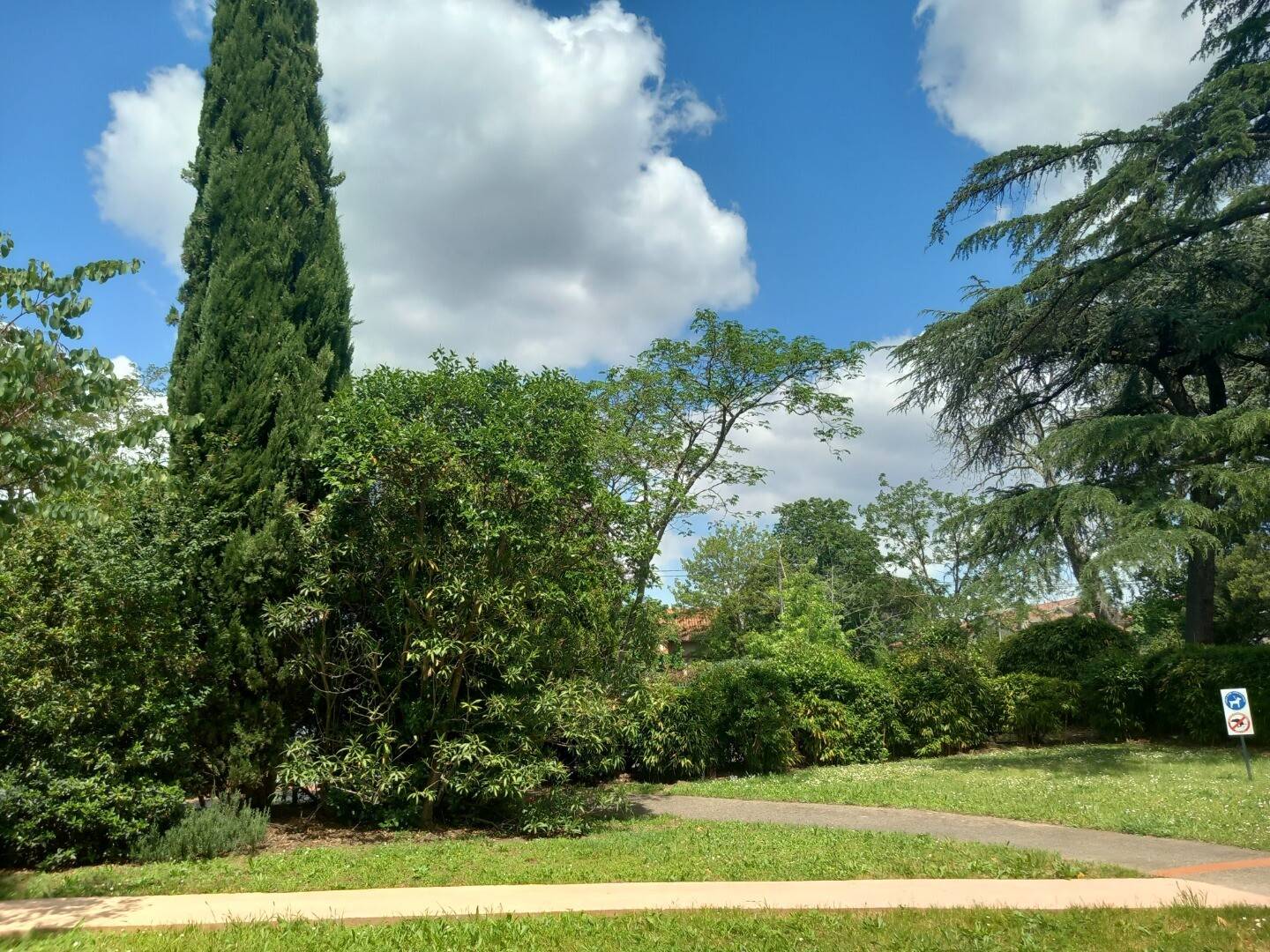 Common areas