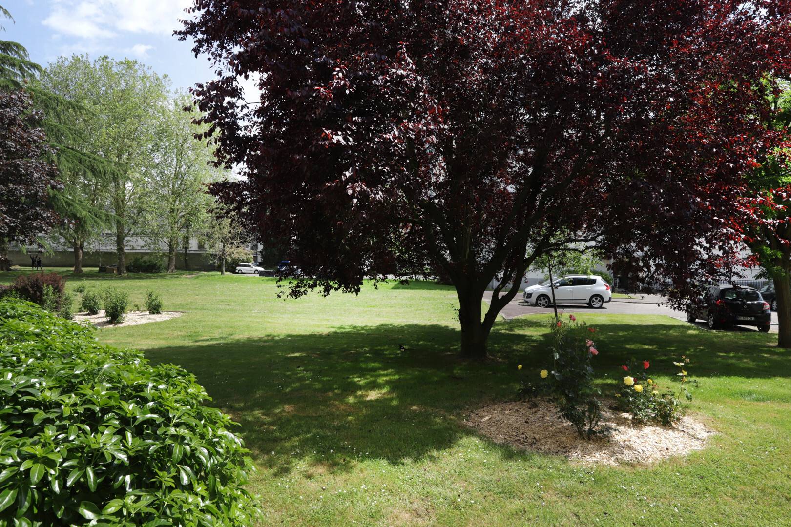 Common areas